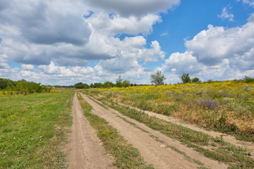 Fototapeta na wymiar countryside road through fields with wheat