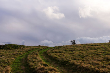 campagne en automne