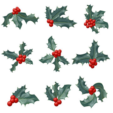 Christmas holly berry icon collection