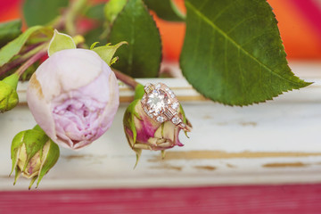 Morganite gemstone engagement ring on natural romantic background