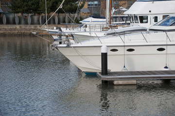 Yachts moored in a marina