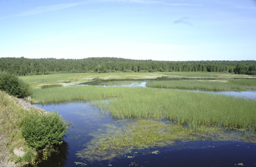 grassy river in Russia