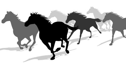 Fototapeta na wymiar Horse running, silhouette, racecourse, competition, 