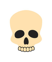 Closeup of Beige Skull on Vector Illustration