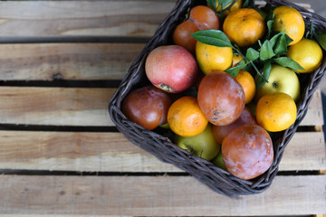 Fruit 