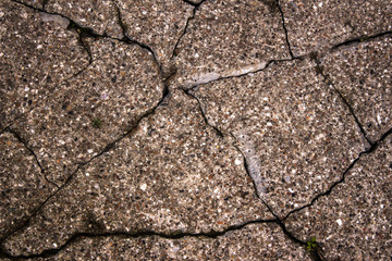 Obraz premium PATTERN