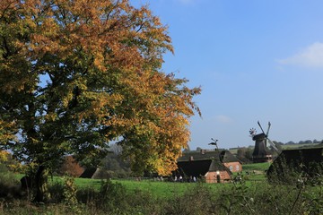 Fototapeta na wymiar historische Holländer Windmühle im Herbst, Freilichtmuseum 