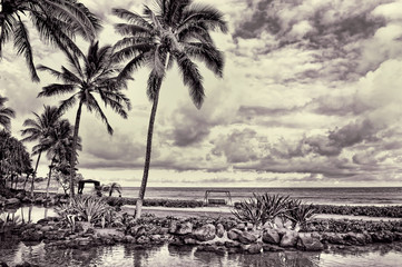 Hawaii Paradise in black and white.
