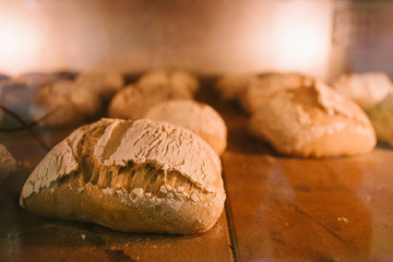Oven baked bread close up