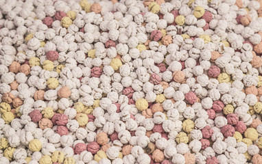 sugar-coated chickpeas