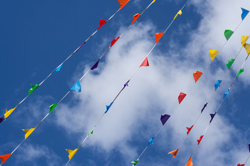Rainbow Bunting Blowing in the Breeze