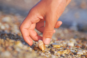 Woman hand taking sea shells from sand on beach. Collecting seashells on the beach, concept of summer vacation. 