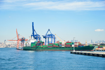 Fototapeta premium Cargo ship in Istanbul