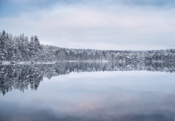 Scenic landscape with forest and lake at winter evening in Finland