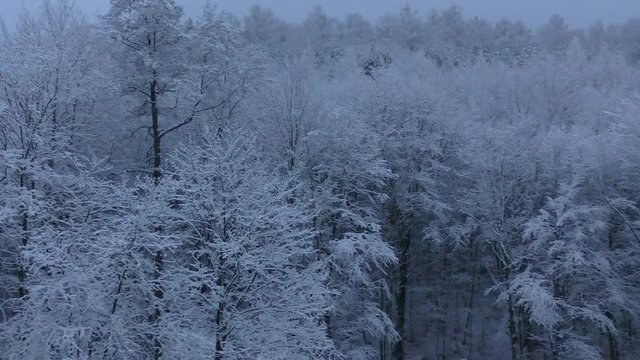 Winter Wonderland Panorama