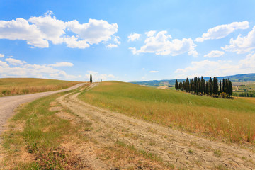 Fototapeta premium Tuscany hills landscape, Italy