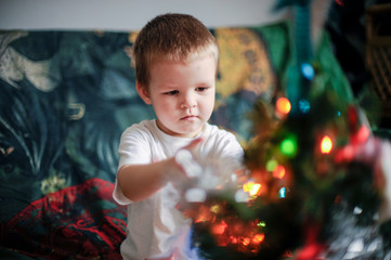 Soft focus. Two little sibling kid boys holding christmas tree. Happy children decorate xmas tree in yours house. Family, tradition, celebration concept