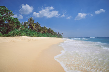 Landscape, coast of the Indian Ocean