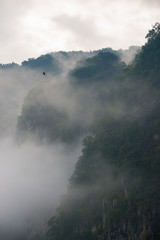 mysterious fog in the mountains, beautiful scenery