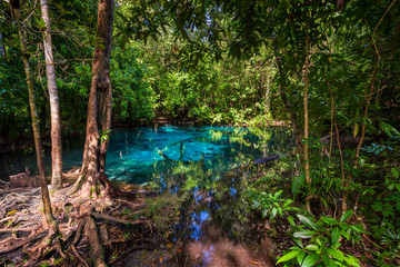 view of a blue lake in the thick jungles of Thailand