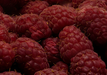 Fresh summer raspberry