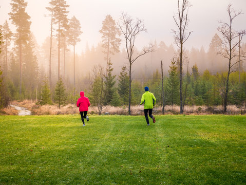 Runners run in winter misty nature. Green grass in foreground and foggy forest in background.