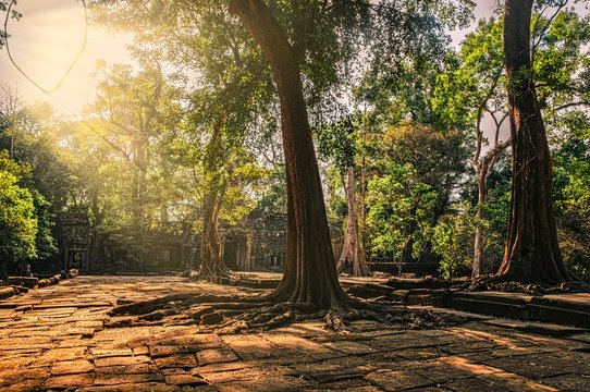 Temple in Angkor Wat, Cambodia. Sunrays on the trees.