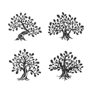 Huge and sacred oak tree silhouette logo isolated on white background. Modern vector national tradition green plant icon sign design set.
Premium quality organic logotype flat emblem illustration.