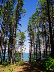 Obraz premium way to the sea