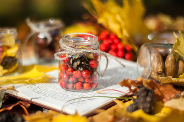  glass jar with rowan berries and a cone inside is on a book among the autumn maple leaves