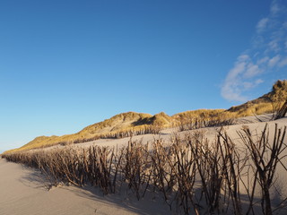 Strand am Ellenbogen auf Sylt