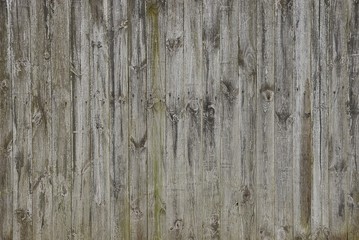 серая текстура из тонких сухих досок стены забора