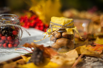 Small glass jars with acorns and rowan inside stand on an open book among the yellow autumn  leaves