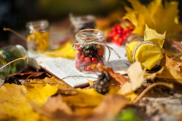 A small glass jar with a rope around and rowan inside is on an open book among the yellow autumn  leaves