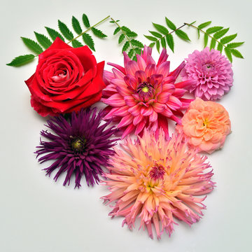 Retro and vintage flowers roses, dahlias, chamomiles, chrysanthemums, marigolds and leaves astilbe on a white background. Flora composition and collection. Nature and plants. Flat lay, top view