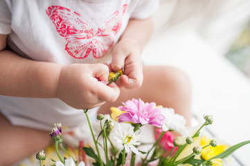 Children's handles hold a flower next to a bouquet of chrysanthemums