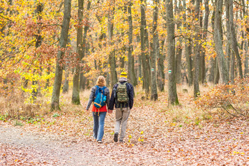 Fototapeta premium Couple in autumn love, girl and boy in golden forest