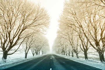 winter landscape with asphalt road and icy trees..