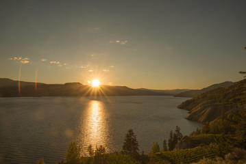 Sunset in the Vineyards in Penticton , okanagan valley Canada