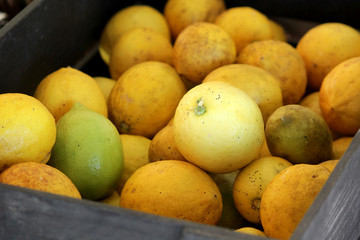 fresh lemons in wooden box