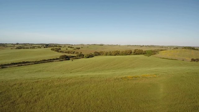 Aerial. Video shooting drone sky, lawns and pastures for agriculture in Alentejo, Portugal.
