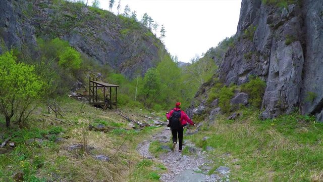 Woman hiking and climbing. A strong determined tourist woman runs along the path. Chemal district, Altai mountains, Siberia, Russia
