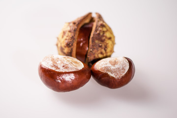 chestnuts on a white background
