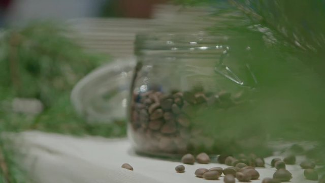Piece of kitchen interior with a glass can full of cedar nuts and decorated with coniferous tree branch, green cone on cedar.