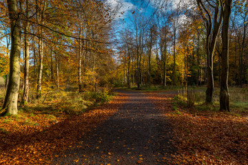 Obraz premium Blairadam