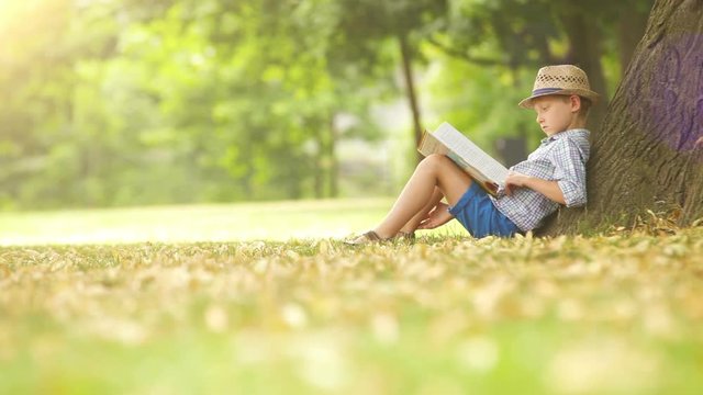 Boy sits beside the tree on a sunny summer day and reads a book