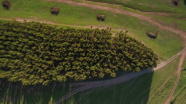 Aerial. Video shooting drone sky, lawns and pastures for agriculture in Alentejo, Portugal.