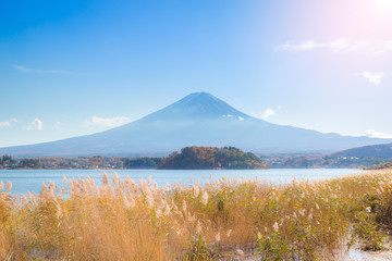 Mount Fuji view with Lake Kawaguchi and clear blue sky background in Kawaguchiko, Japan