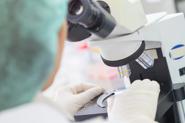 Scientist hands with microscope, examining samples in laboratory