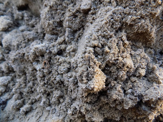 Abstract sand texture background